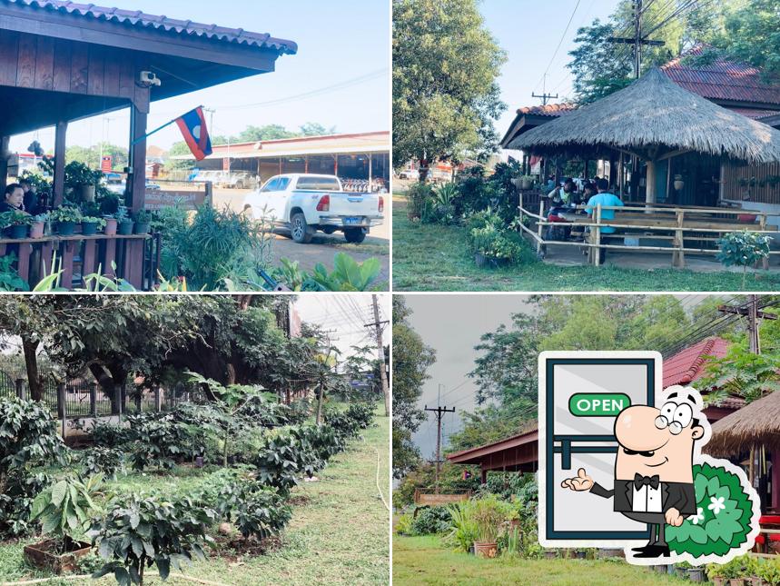 Café Laongam kmns(ຮ້ານ ກາເຟ ເລົ່າງາມ)