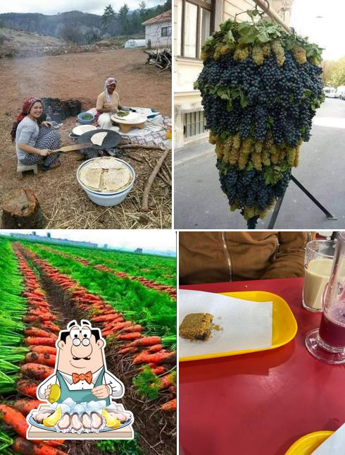 Cafeteria Lion D'or