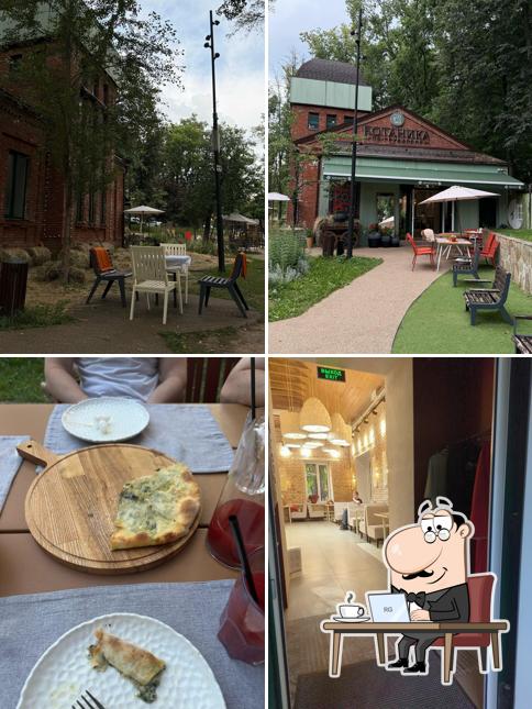 Ботаника по грузински
