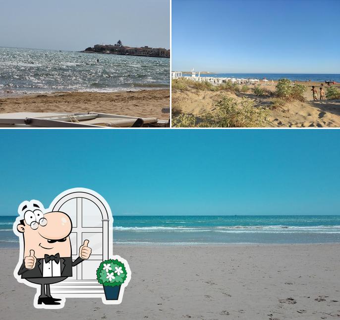 Ossi Di Seppia (VOI Sea)