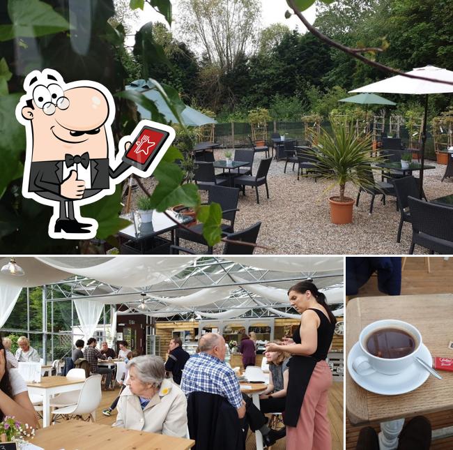 Glasshouse cafe
