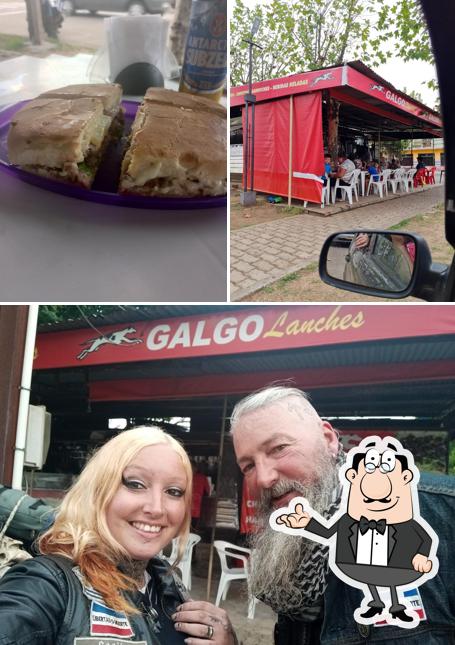 Tráiler Galgo