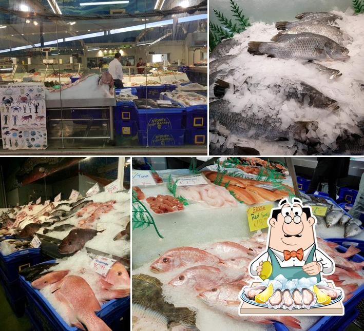 FishCo DownUnder