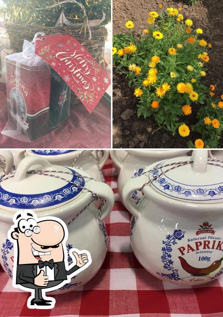 Paprika Lady Ltd