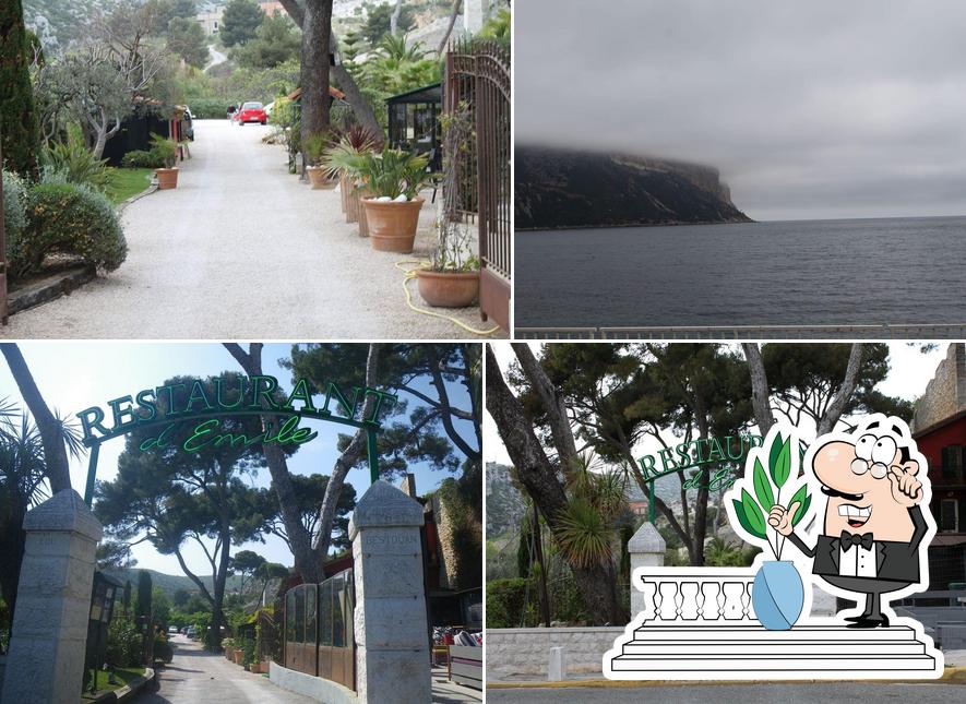 Le Jardin d'Emile