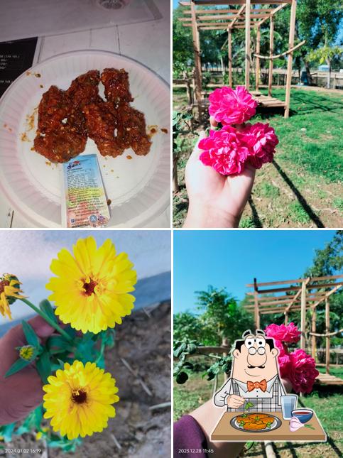 Food Project