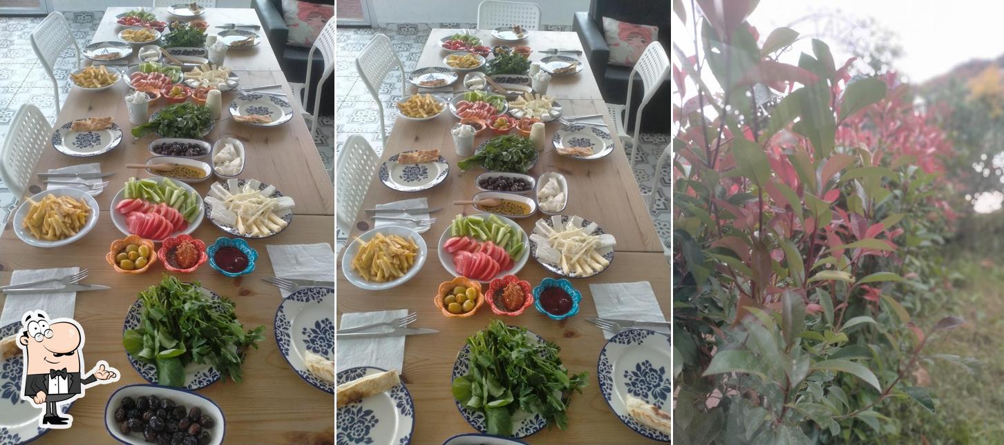 Hayat bahçe cafw