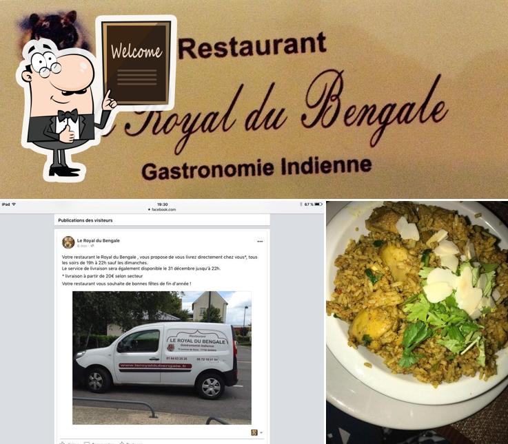 Le royal du Bengale