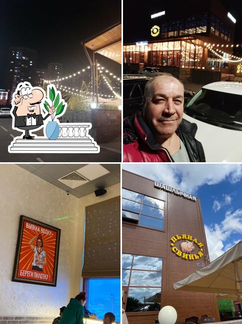 Внешнее оформление "Пьяная свинья"