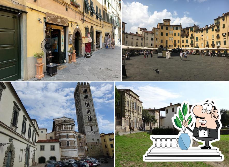 Ristorante Lucca in Tavola