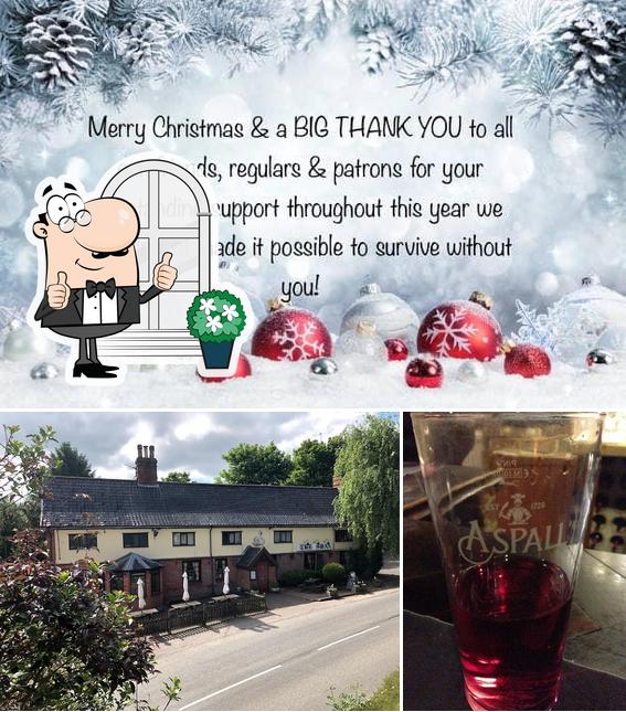 The Fressingfield Swan