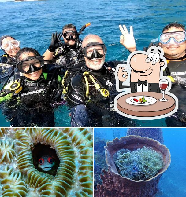 Panama Dive Adventure