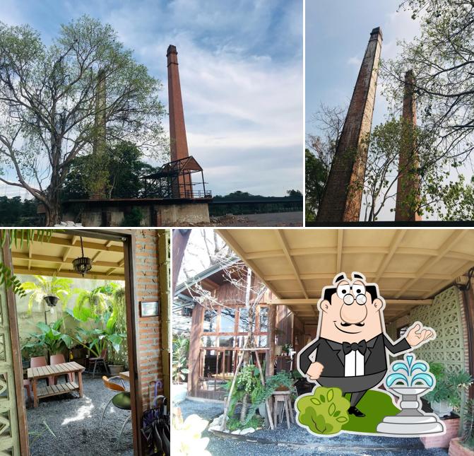 Uncle Tree Café
