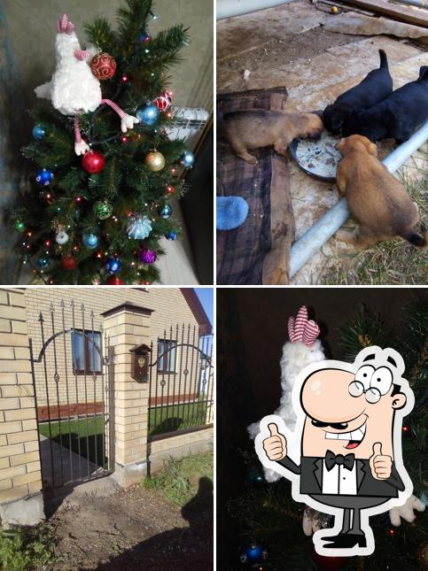 Кафе Встреча