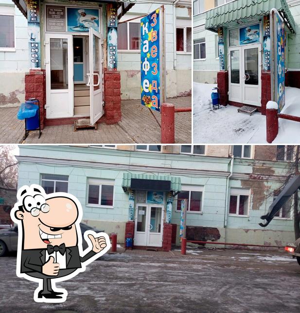 Звезда