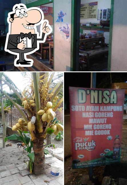 D'Nisa