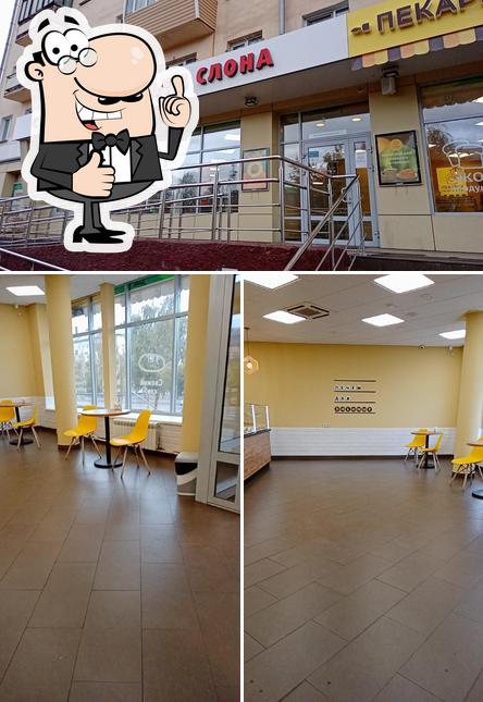 Съем Слона