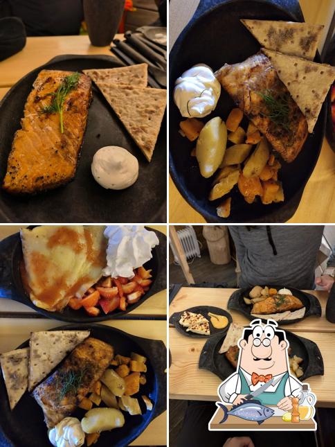 All About Salmon