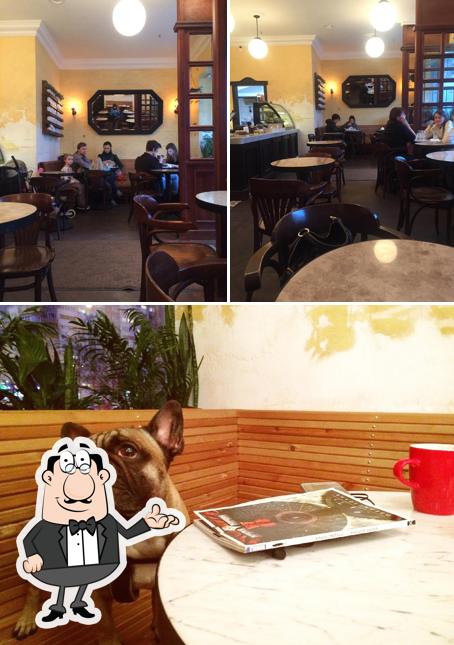 Посмотрите на внутренний интерьер "Кофеварим"