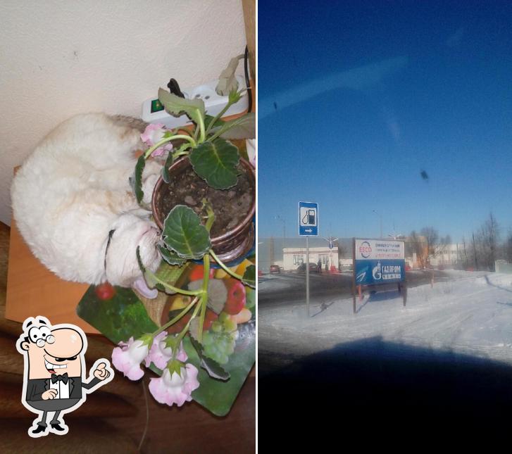 Сеченово