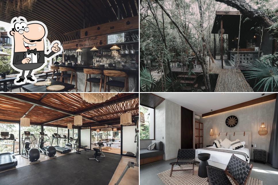 Siwa Tulum Wellness Villa Collection