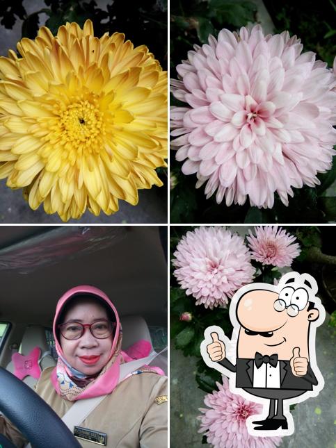 Angkringan Wande