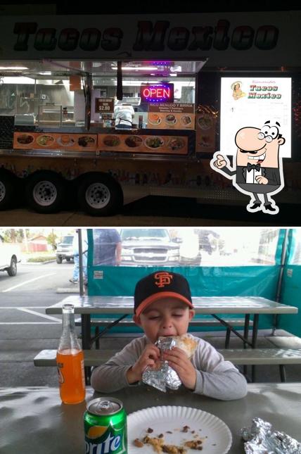 Taco Trucks