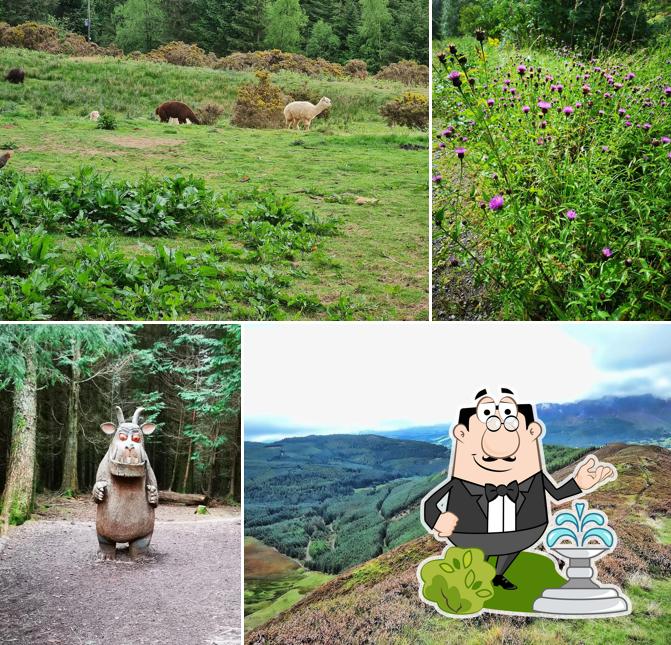 Whinlatter Visitor Centre