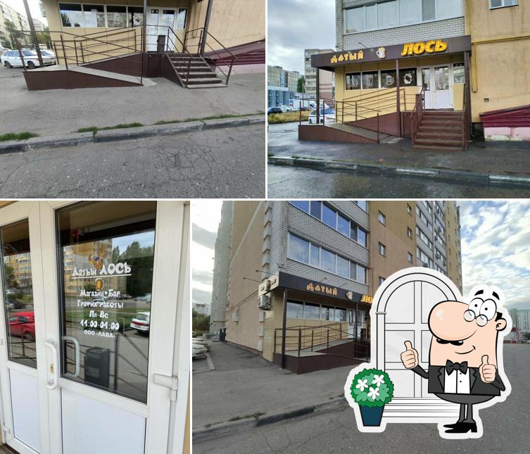 Датый лocь