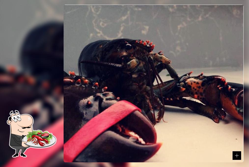 Sullivan Lobster Co.