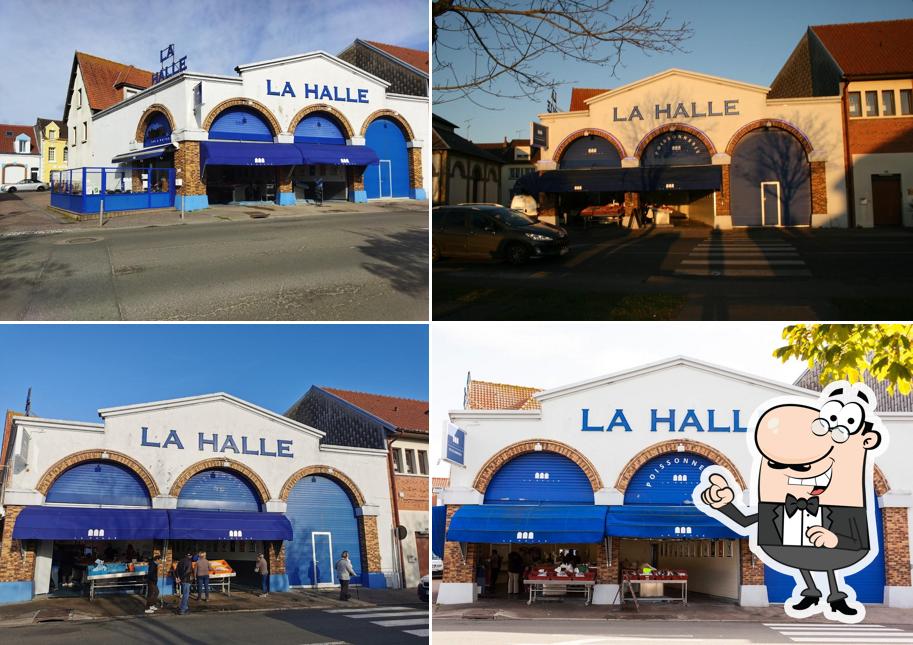 Halle Fish