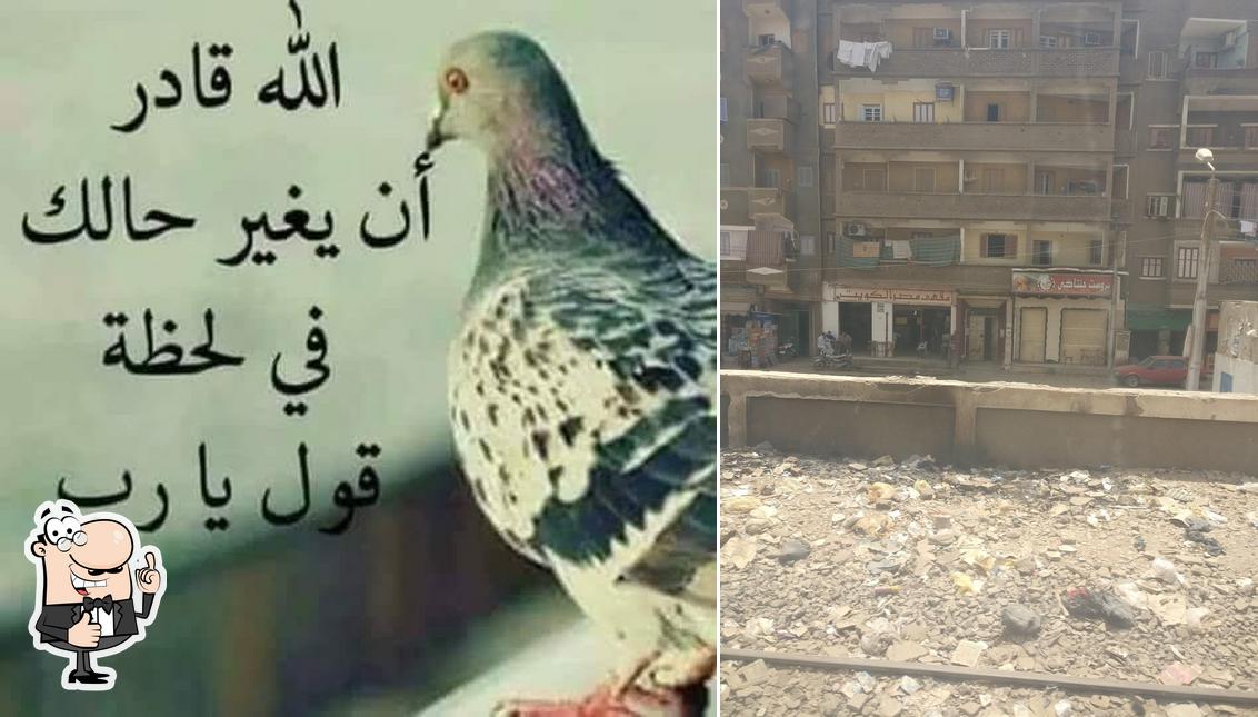 مقهى مصر الكويت