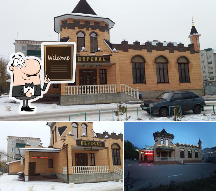 Лунный кот