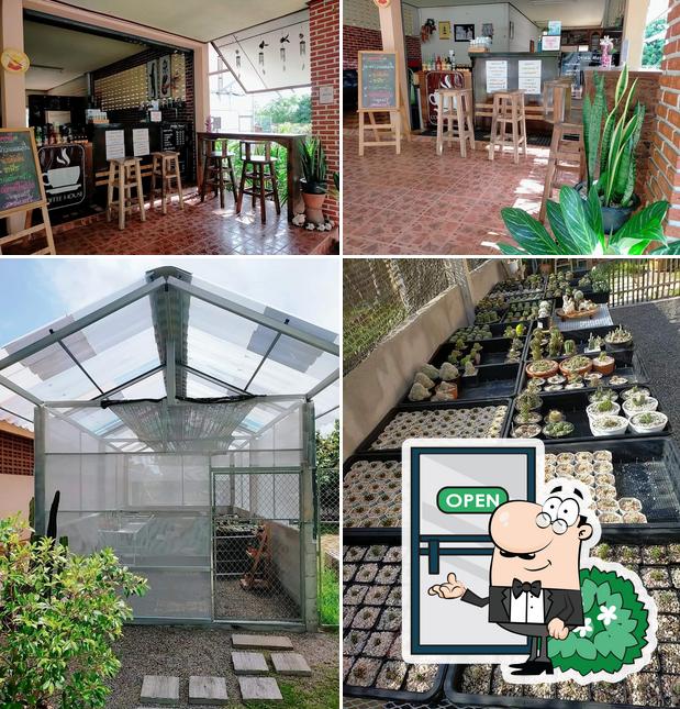 ร้านชากาแฟสด และTima Cactus