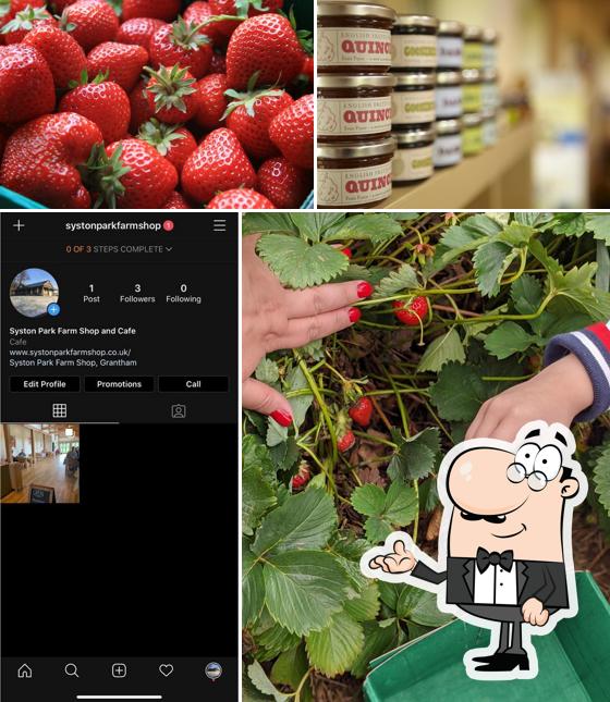 Syston Park Farm Shop