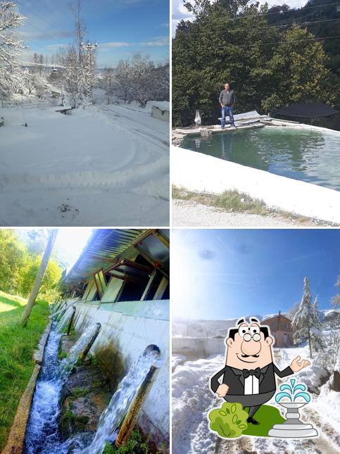 Akdağ Alabalık