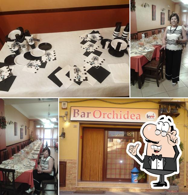 Bar ristorante pizzeria orchidea
