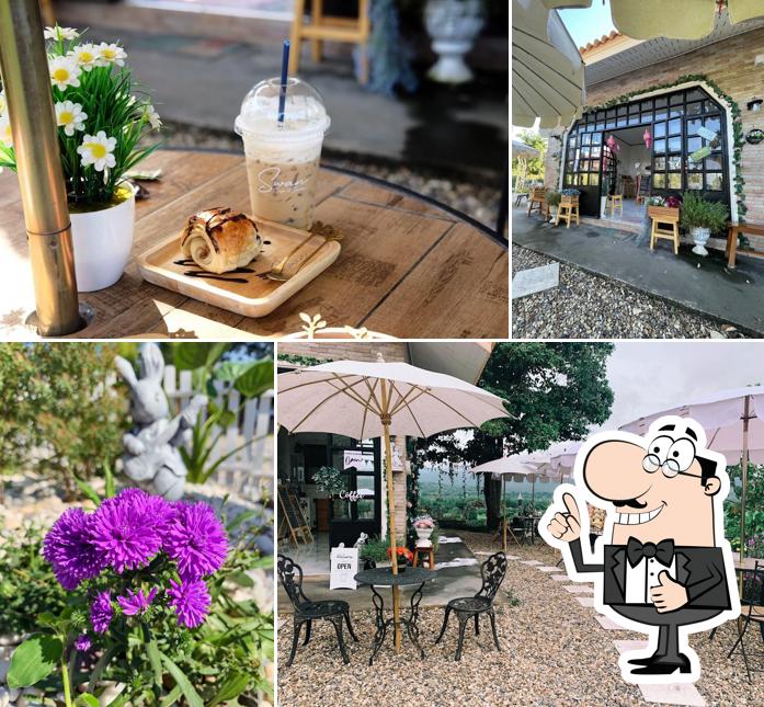 Swan Café & Garden