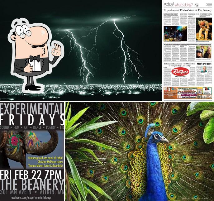 Experimental Fridays