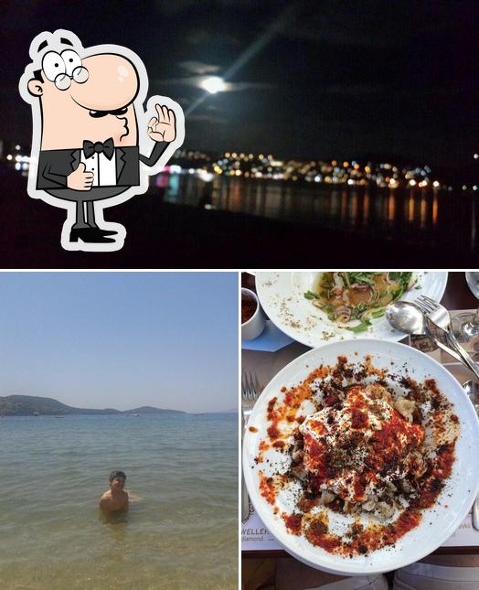 Ozer'in Yeri