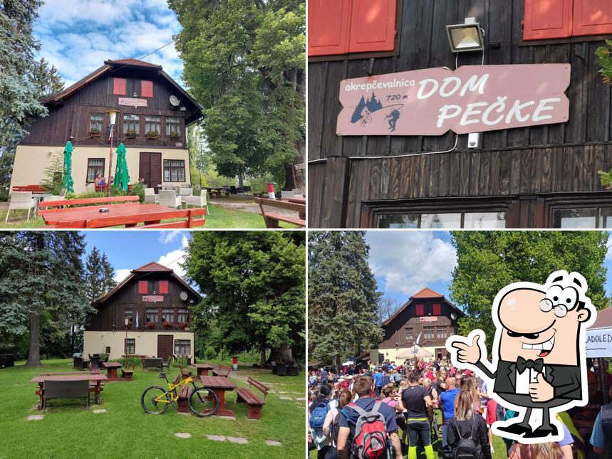 Dom na Pečkah