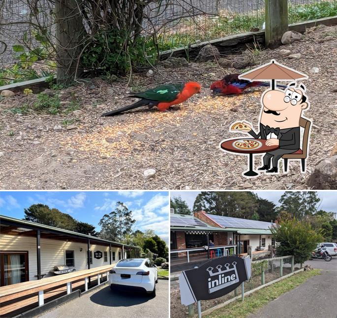Tarra Bulga Cafe