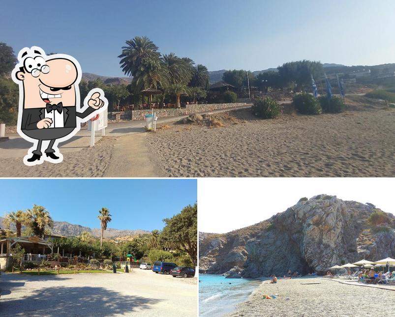 Beach bar delfini