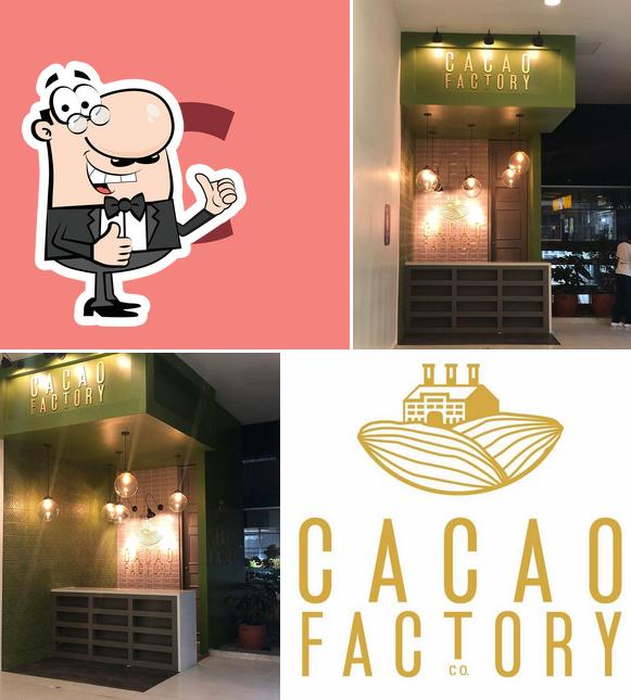 Cacaofactory