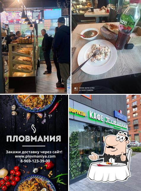 Пловмания