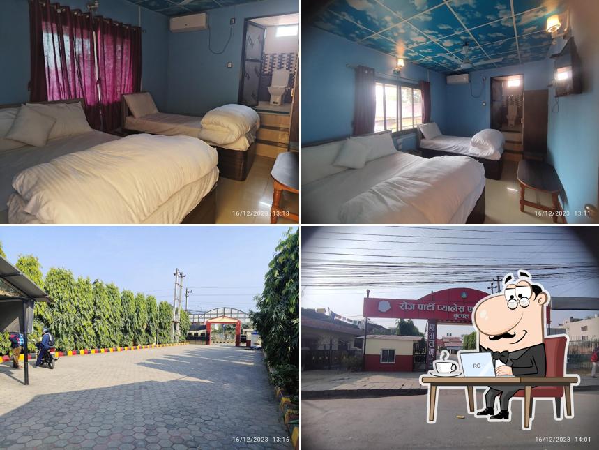 Rose Guest House