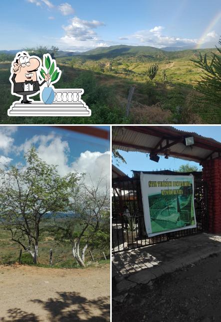 Estadero Rancho Renata