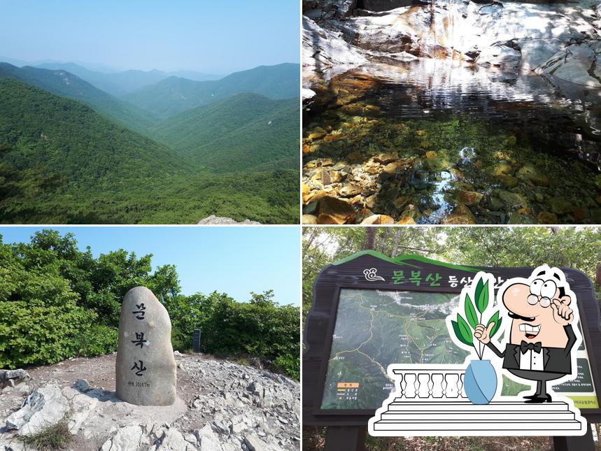 복숭아꽃살구꽃
