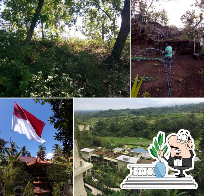 Labhagga Pacung