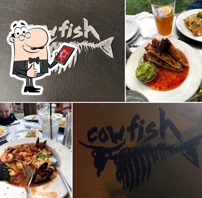 Cowfish